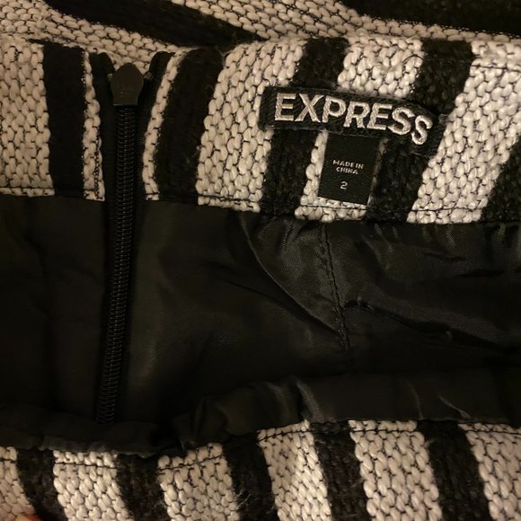Express Stripe A-line skirt - Size 2/S - Picture 2 of 4